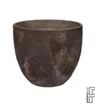 Oyster - Jesslyn Oyster - Jesslyn