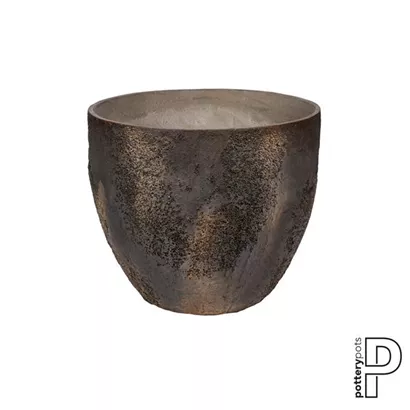 Oyster - Jesslyn Oyster - Jesslyn