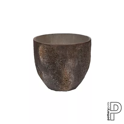 Oyster - Jesslyn Oyster - Jesslyn