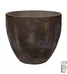 Oyster - Jesslyn Oyster - Jesslyn