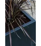 Essential - Jort Essential - Jort