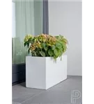 Essential - Jort Essential - Jort