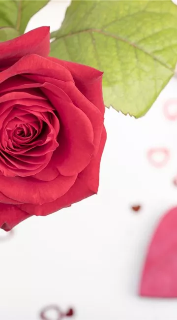 Der Valentinstag und seine Geschichte