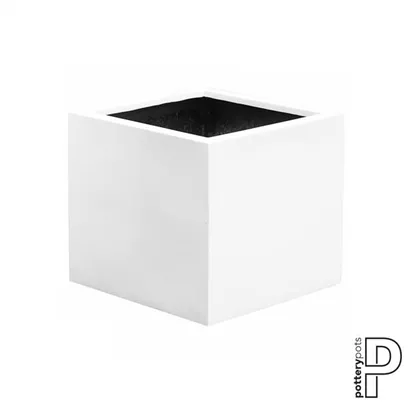 Essential - Jumbo