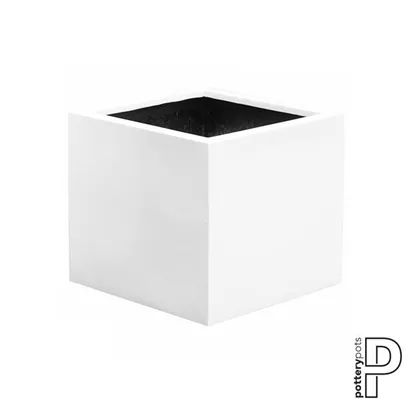 Essential - Jumbo