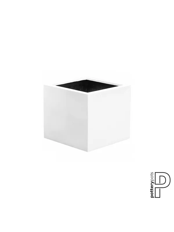 Essential - Jumbo