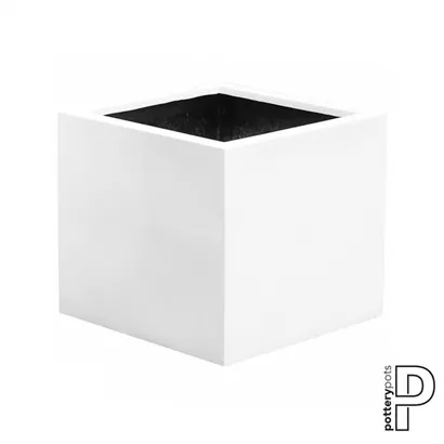 Essential - Jumbo