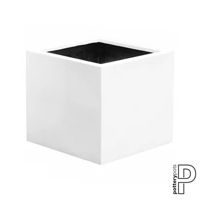 Essential - Jumbo