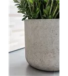 Urban - Jumbo Charlie