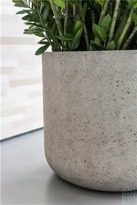 Urban - Jumbo Charlie