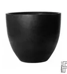 Natural - Jumbo Jesslyn