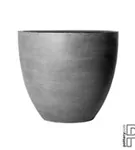 Natural - Jumbo Jesslyn