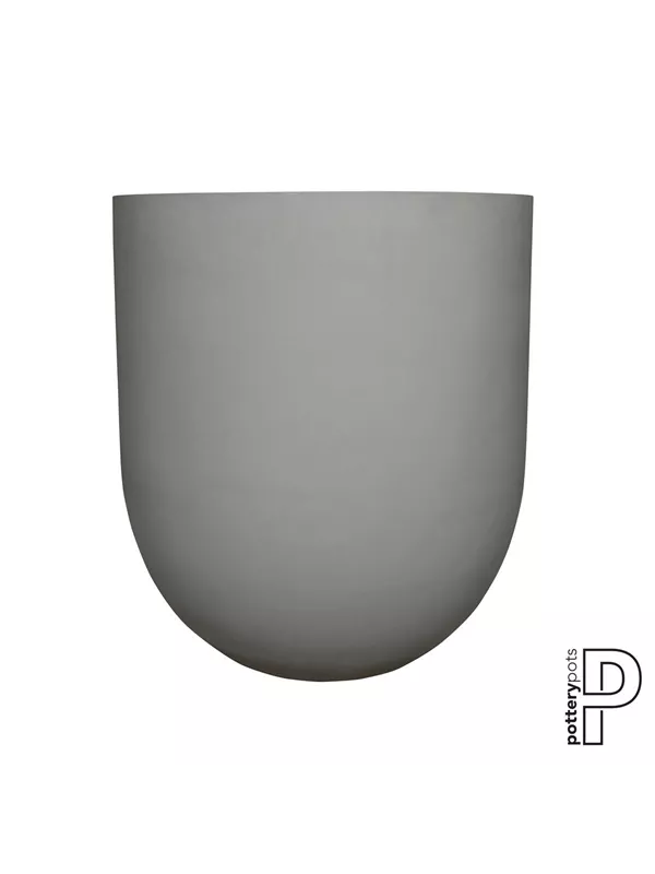 Refined - Jumbo Lex