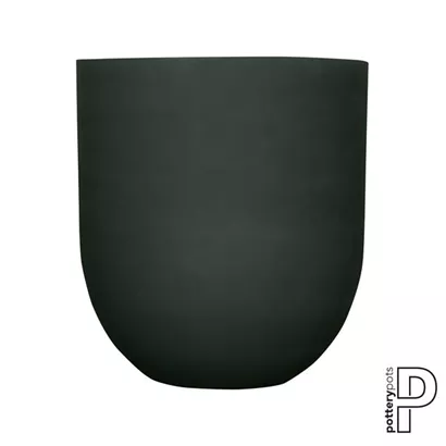 Refined - Jumbo Lex