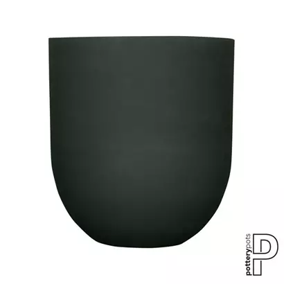 Refined - Jumbo Lex