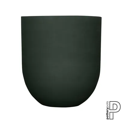 Refined - Jumbo Lex