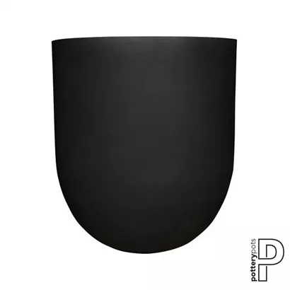 Refined - Jumbo Lex