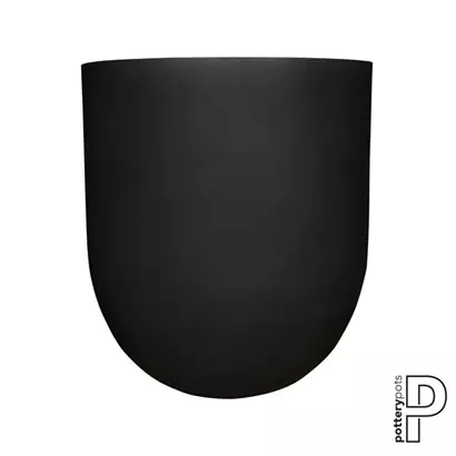 Refined - Jumbo Lex