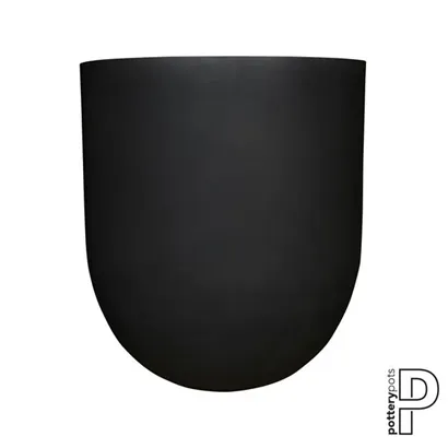 Refined - Jumbo Lex