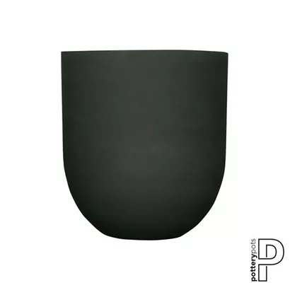 Refined - Jumbo Lex