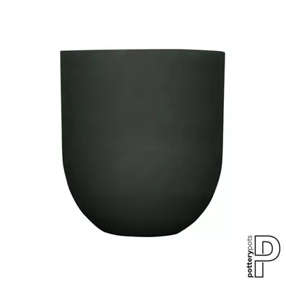 Refined - Jumbo Lex