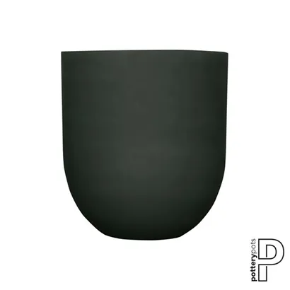 Refined - Jumbo Lex