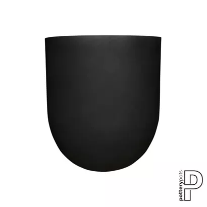 Refined - Jumbo Lex