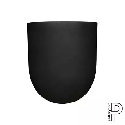 Refined - Jumbo Lex
