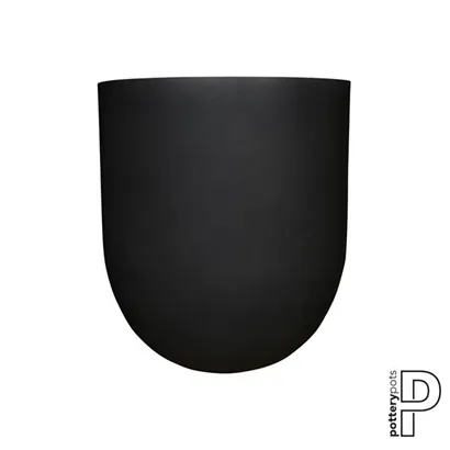 Refined - Jumbo Lex