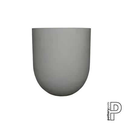 Refined - Jumbo Lex