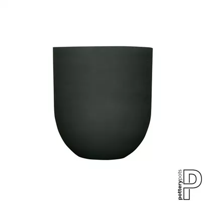 Refined - Jumbo Lex
