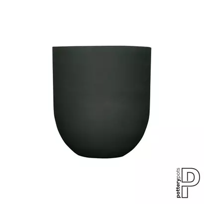 Refined - Jumbo Lex