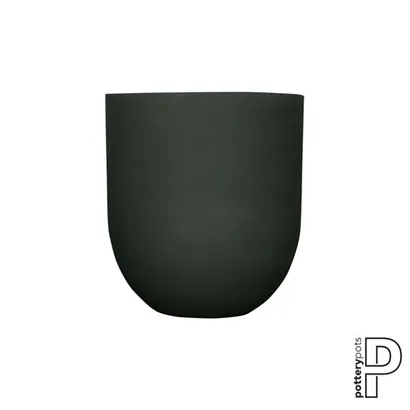 Refined - Jumbo Lex