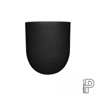 Refined - Jumbo Lex