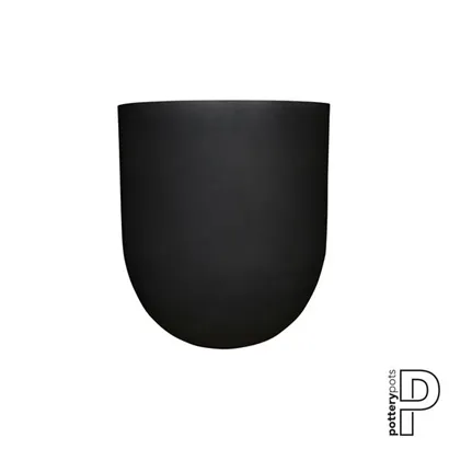 Refined - Jumbo Lex