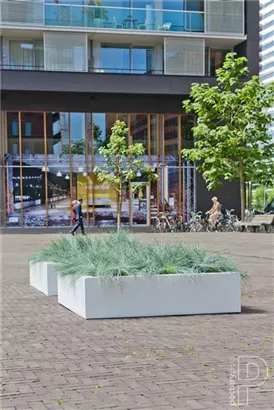 Essential - Jumbo Low Essential - Jumbo Low