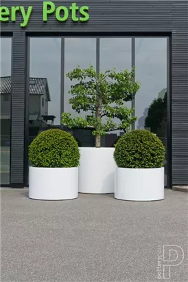 Essential - Jumbo Max Mid. High Essential - Jumbo Max Mid. High