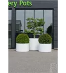 Essential - Jumbo Max Mid. High