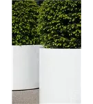 Essential - Jumbo Max Mid. High Essential - Jumbo Max Mid. High