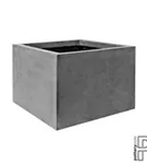 Natural - Jumbo middle high