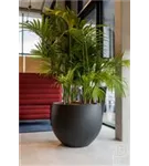 Urban - Jumbo Orb Urban - Jumbo Orb