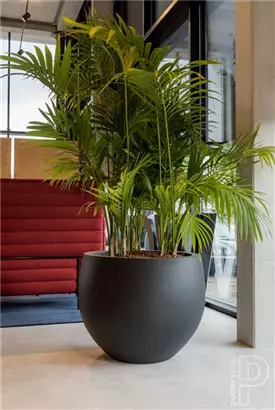 Urban - Jumbo Orb