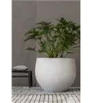 Urban - Jumbo Orb