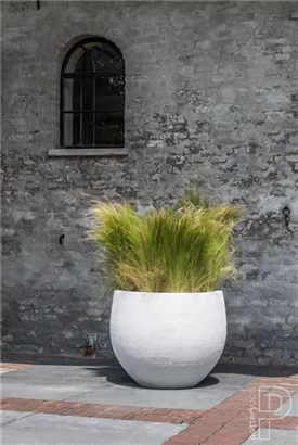 Urban - Jumbo Orb Urban - Jumbo Orb