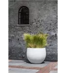 Urban - Jumbo Orb
