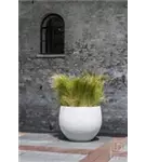 Urban - Jumbo Orb