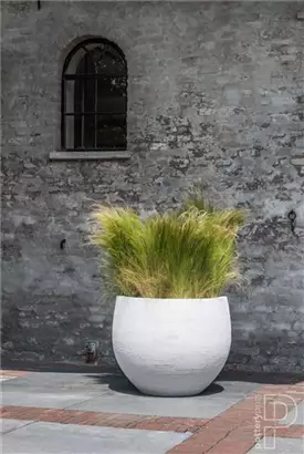 Urban - Jumbo Orb