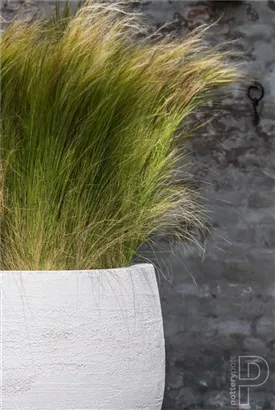 Urban - Jumbo Orb Urban - Jumbo Orb