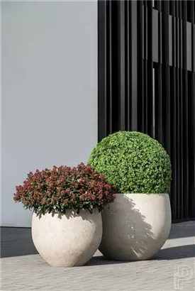 Urban - Jumbo Orb Urban - Jumbo Orb