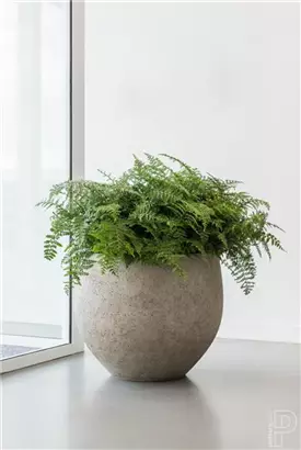 Urban - Jumbo Orb